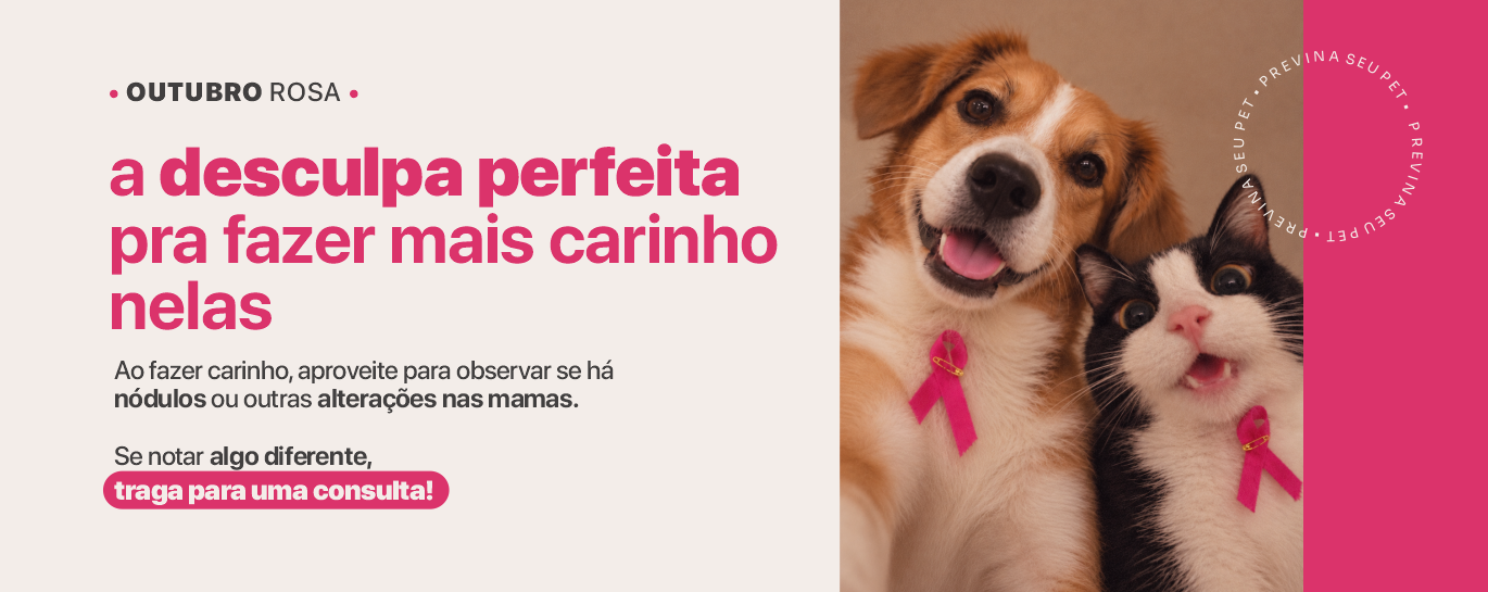 Outubro Rosa Vet Hope Hospital